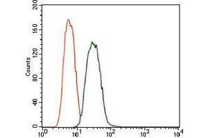 Flow cytometric analysis of A549 cells using PDE1B mouse mAb (green) and negative control (red).