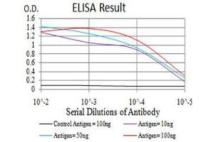 Black line: Control Antigen (100 ng), Purple line: Antigen(10 ng), Blue line: Antigen (50 ng), Red line: Antigen (100 ng),