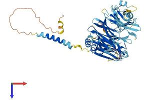 AlphaFold protein structure predicition of Human Recombinant FAM234A Protein, UniprotID Q9H0X4