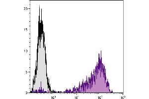 C57BL/6 mouse cytotoxic T lymphocyte cell line CTLL-2 was stained with Rat Anti-Mouse CD25-BIOT. (CD25 anticorps  (Biotin))