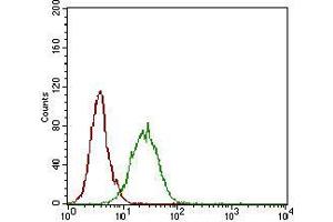 Flow cytometric analysis of A431 cells using NT5E mouse mAb (green) and negative control (red).