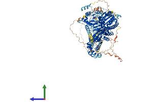 AlphaFold protein structure predicition of Mouse Recombinant Iqch Protein, UniprotID Q9D2K4
