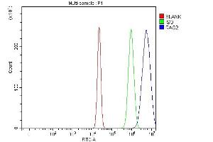 Flow Cytometry analysis of U20S cells using anti-RAG2 antibody (ABIN7601803).