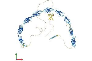 AlphaFold protein structure predicition of Mouse Recombinant Fndc3b Protein, UniprotID Q6NWW9