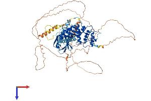 AlphaFold protein structure predicition of Mouse Recombinant Epb41l5 Protein, UniprotID Q8BGS1