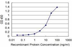 Detection limit for recombinant GST tagged FBXL8 is approximately 0.