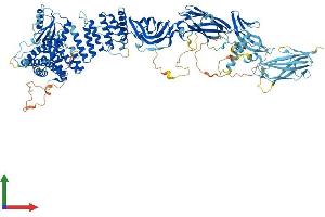 AlphaFold protein structure predicition of Human Recombinant TRAPPC9 Protein, UniprotID Q96Q05