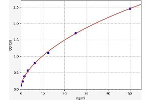 Typical standard curve (Perforin 1 Kit ELISA)