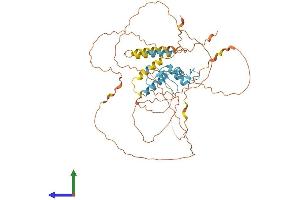 AlphaFold protein structure predicition of Human Recombinant KLF11 Protein, UniprotID O14901