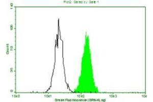 Above is the histogram of Hela cells stained with 10mg/mL anti-Human CRP mAb S5G1 and fluorescence labelled secondary antibody.