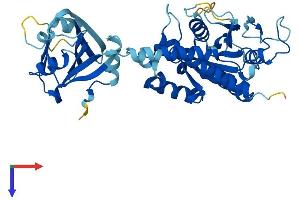 AlphaFold protein structure predicition of Mouse Recombinant Ifi44 Protein, UniprotID Q8BV66