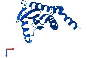AlphaFold protein structure predicition of Human Recombinant AP4S1 Protein, UniprotID Q9Y587