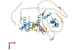 AlphaFold protein structure predicition of Human Recombinant ZSCAN5A Protein, UniprotID Q9BUG6