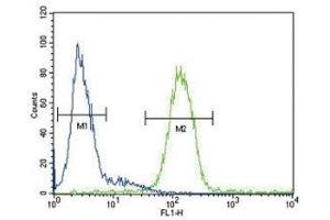 CP antibody flow cytometric analysis of HepG2 cells (green) compared to a negative control (blue).