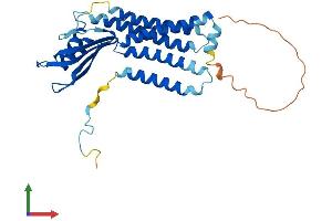 AlphaFold protein structure predicition of Human Recombinant DUOXA2 Protein, UniprotID Q1HG44