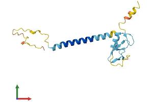 AlphaFold protein structure predicition of Human Recombinant RNF122 Protein, UniprotID Q9H9V4