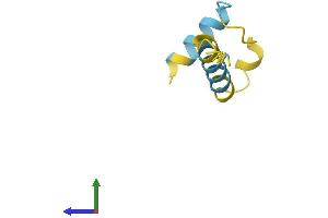 AlphaFold protein structure predicition of Human Recombinant LUZP6 Protein, UniprotID Q538Z0