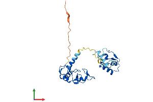 AlphaFold protein structure predicition of Mouse Recombinant Rnf114 Protein, UniprotID Q9ET26