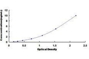 Signal-Regulatory Protein alpha (SIRPA) ELISA Kit