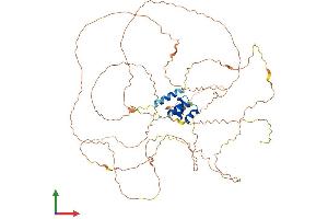 AlphaFold protein structure predicition of Human Recombinant RSC1A1 Protein, UniprotID Q92681