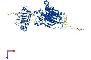 AlphaFold protein structure predicition of Human Recombinant CNOT6 Protein, UniprotID Q9ULM6