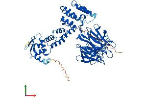 AlphaFold protein structure predicition of Human Recombinant KLHL10 Protein, UniprotID Q6JEL2