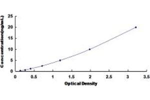 Typical standard curve (CACNA1S Kit ELISA)