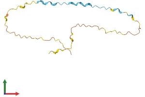 AlphaFold protein structure predicition of Human Recombinant C19orf73 Protein, UniprotID Q9NVV2