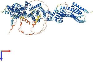 AlphaFold protein structure predicition of Human Recombinant NUP107 Protein, UniprotID P57740