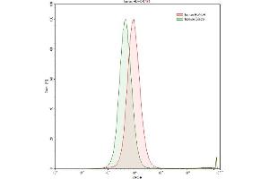 Detection of HLA-DRA in Raji human Burkitt's lymphoma cell line using Polyclonal Antibody to HLA Class II Histocompatibility Antigen, DR Alpha Chain (HLA-DRA)