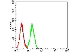 Flow cytometric analysis of SK-OV-3 cells using CDX2 mouse mAb (green) and negative control (red).
