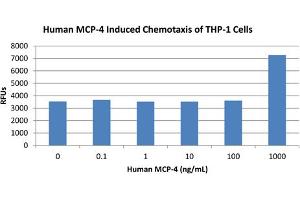 SDS-PAGE of Human Monocyte Chemotactic Protein-4 (CCL13) Recombinant Protein Bioactivity of Human Monocyte Chemotactic Protein-4 (CCL13) Recombinant Protein.