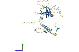 AlphaFold protein structure predicition of Mouse Recombinant Slc7a6os Protein, UniprotID Q7TPE5