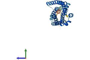 AlphaFold protein structure predicition of Human Recombinant GPR35 Protein, UniprotID Q9HC97