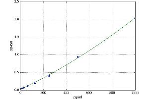 POTE Ankyrin Domain Family, Member G (POTEG) ELISA Kit