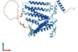AlphaFold protein structure predicition of Mouse Recombinant Cds2 Protein, UniprotID Q99L43