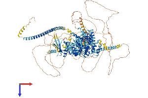 AlphaFold protein structure predicition of Human Recombinant TBC1D4 Protein, UniprotID O60343