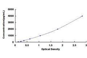 TAR DNA Binding Protein (TARDBP) ELISA Kit