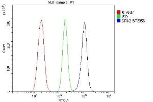Flow Cytometry analysis of RH35 cells using anti-GRK2 antibody (ABIN7602826). (GRK2 anticorps  (C-Term))