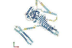 AlphaFold protein structure predicition of Mouse Recombinant Drc7 Protein, UniprotID Q6V3W6