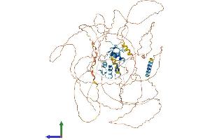 AlphaFold protein structure predicition of Human Recombinant ZNF281 Protein, UniprotID Q9Y2X9