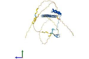 AlphaFold protein structure predicition of Human Recombinant VAX2 Protein, UniprotID Q9UIW0