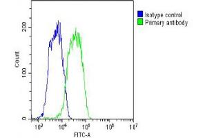 Overlay histogram showing HepG2 cells stained with (ABIN6243301 and ABIN6578652) (green line).