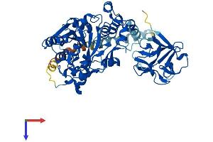 AlphaFold protein structure predicition of Human Recombinant GALNT13 Protein, UniprotID Q8IUC8
