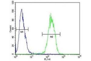 IL17F antibody flow cytometric analysis of 293 cells (right histogram) compared to a negative control (left histogram).