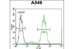 EDN1 Antibody (Center)  flow cytometric analysis of A549 cells (right histogram) compared to a negative control cell (left histogram). (Endothelin 1 anticorps  (Center))