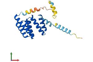 AlphaFold protein structure predicition of Human Recombinant TTC36 Protein, UniprotID A6NLP5
