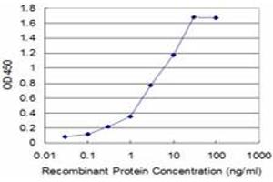 Detection limit for recombinant GST tagged USP9X is approximately 0. (USP9X anticorps  (AA 1-90))