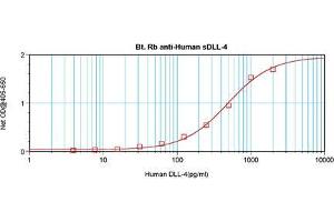 Enzyme Immunoassay (EIA) image for anti-delta-Like 4 (DLL4) antibody (Biotin) (ABIN568942)