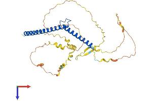 AlphaFold protein structure predicition of Human Recombinant MYCL Protein, UniprotID P12524